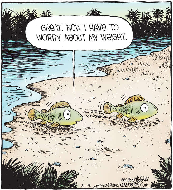 Speed Bump for Jun 12, 2024