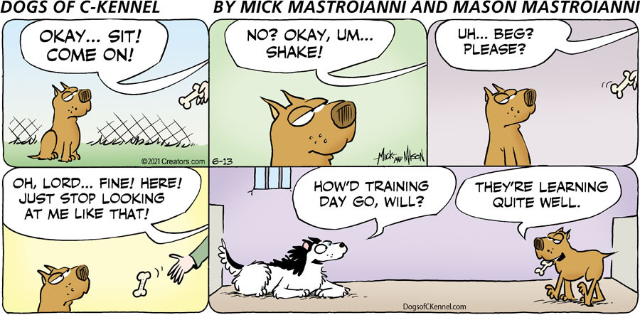 Dogs of C-Kennel for Jun 13, 2021