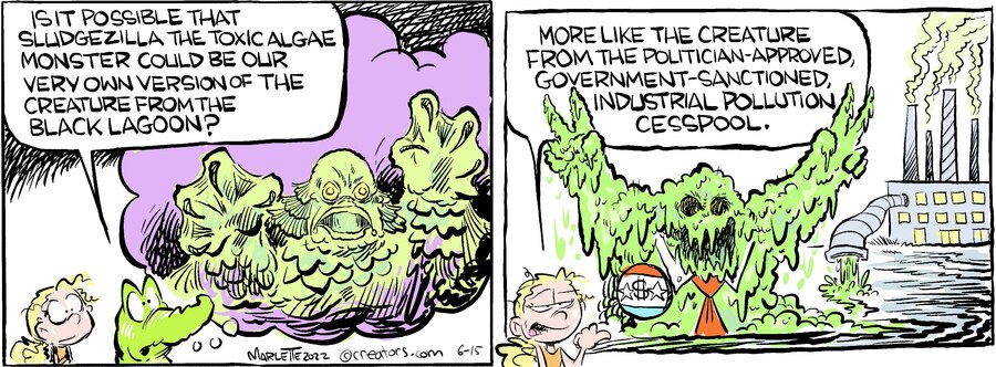 Shrimp and Grits for Jun 15, 2024