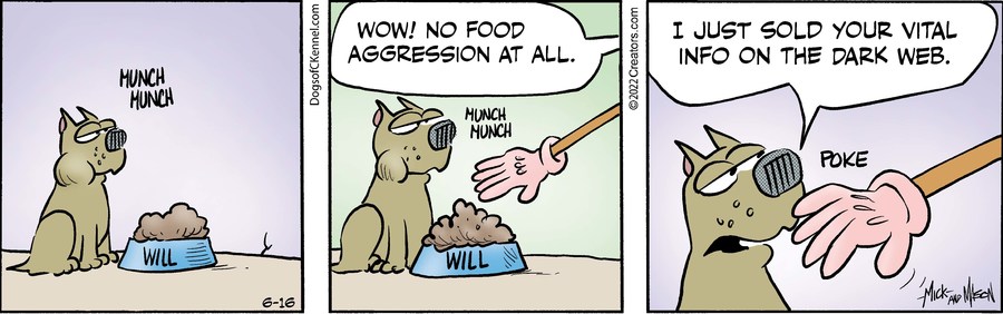 Dogs of C-Kennel for Jun 16, 2022