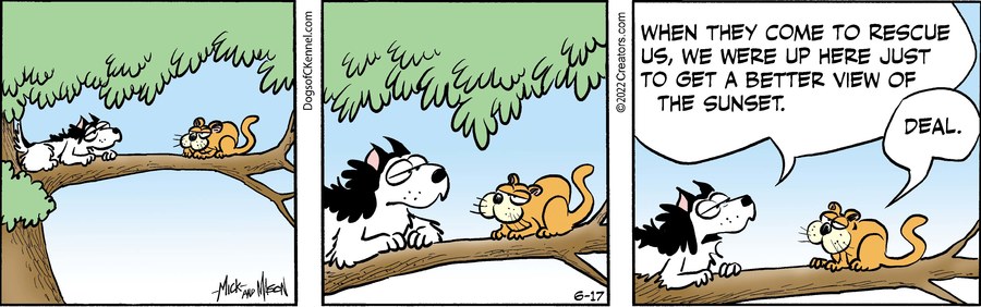 Dogs of C-Kennel for Jun 17, 2022