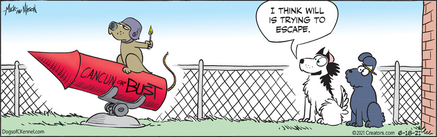 Dogs of C-Kennel for Jun 18, 2021