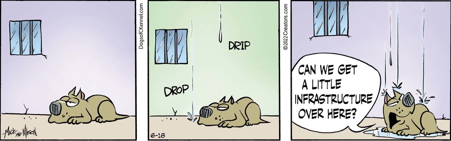 Dogs of C-Kennel for Jun 18, 2022