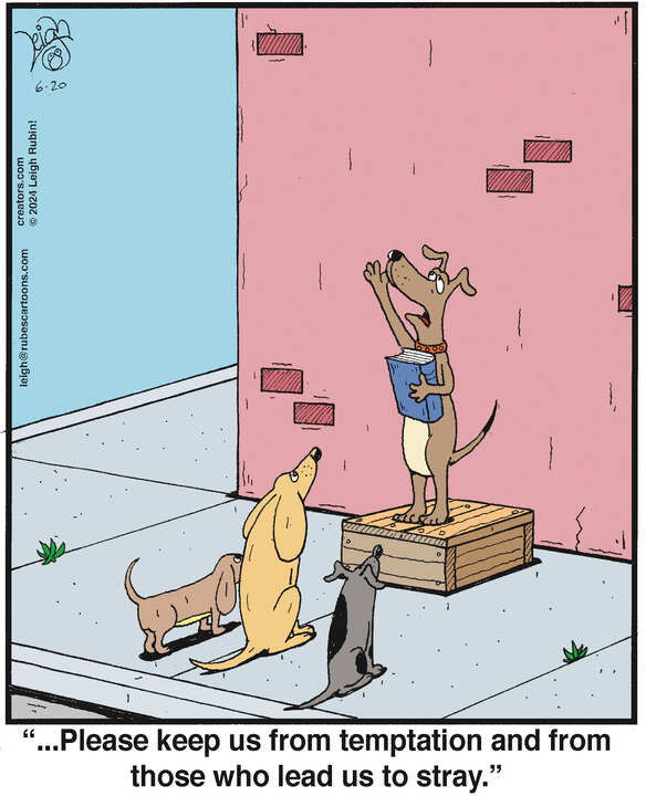 Rubes® for Jun 20, 2024