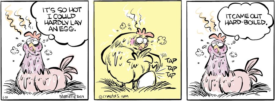 Shrimp and Grits for Jun 20, 2024