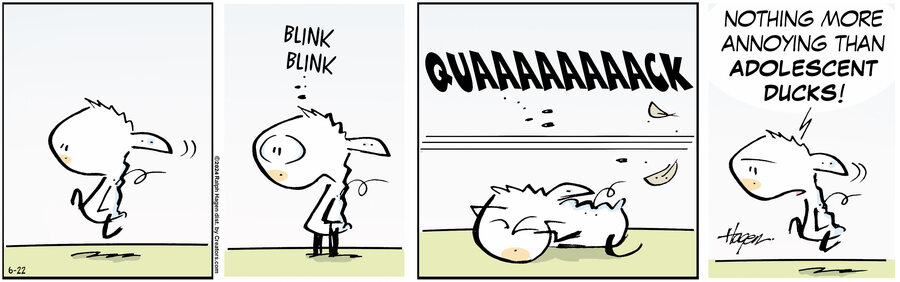 The Barn for Jun 22, 2024