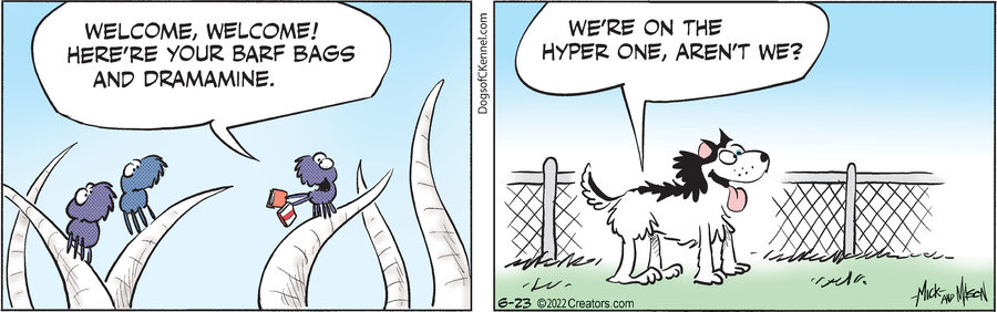 Dogs of C-Kennel for Jun 23, 2022