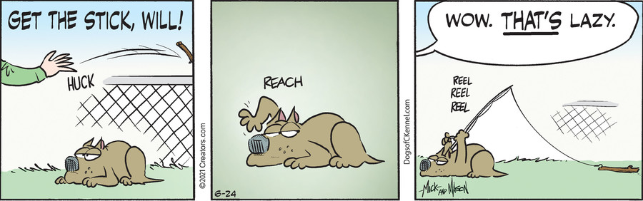 Dogs of C-Kennel for Jun 24, 2021
