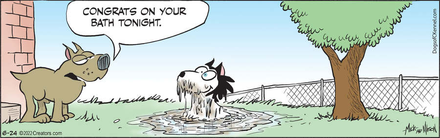 Dogs of C-Kennel for Jun 24, 2022