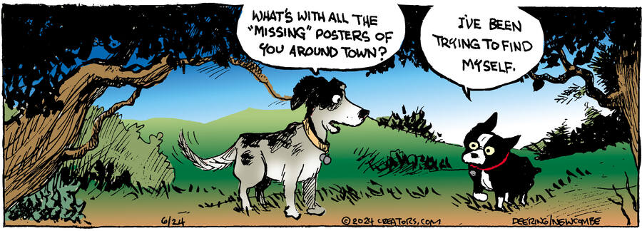 Zack Hill for Jun 24, 2024