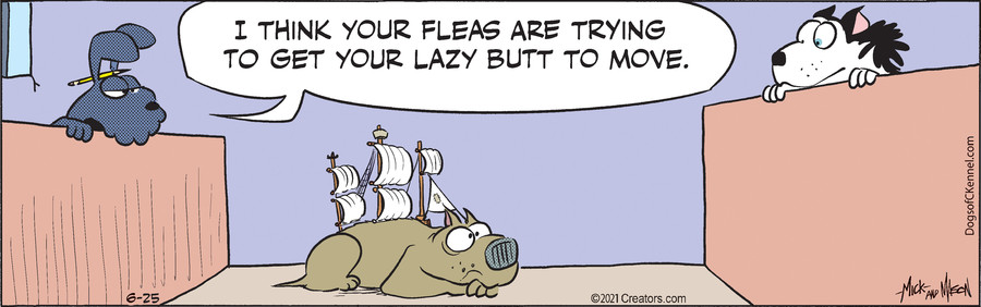 Dogs of C-Kennel for Jun 25, 2021