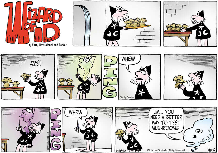 Wizard of Id for Jun 25, 2023