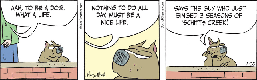 Dogs of C-Kennel for Jun 28, 2021