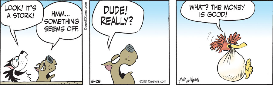 Dogs of C-Kennel for Jun 29, 2021