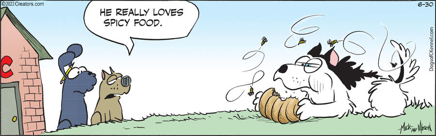 Dogs of C-Kennel for Jun 30, 2022