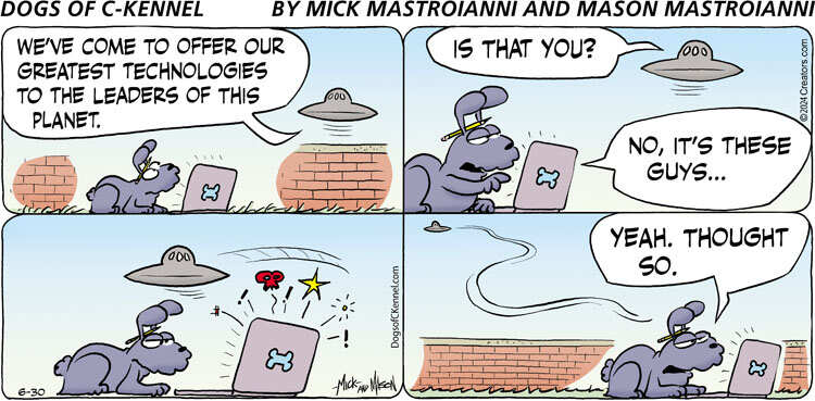 Dogs of C-Kennel for Jun 30, 2024