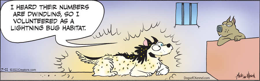 Dogs of C-Kennel for Jul 11, 2022