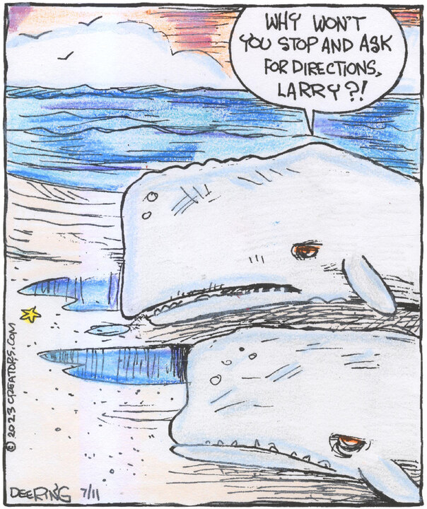 Strange Brew for Jul 11, 2023