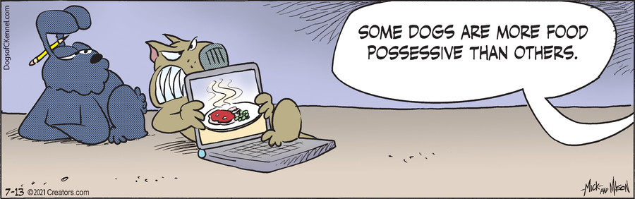 Dogs of C-Kennel for Jul 13, 2021