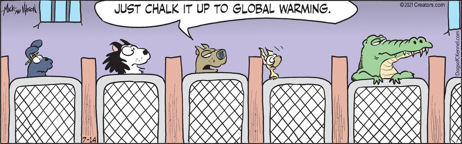 Dogs of C-Kennel for Jul 14, 2021