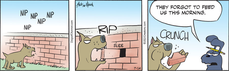 Dogs of C-Kennel for Jul 14, 2022
