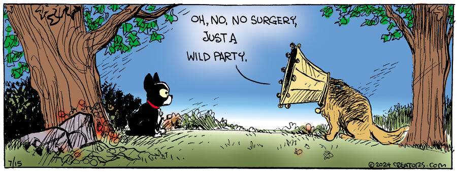 Zack Hill for Jul 15, 2024