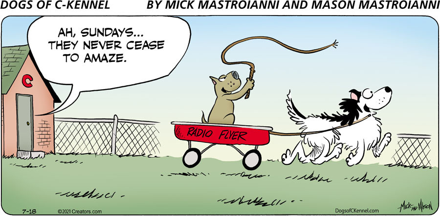 Dogs of C-Kennel for Jul 18, 2021