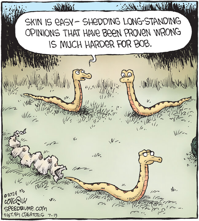 Speed Bump for Jul 19, 2024