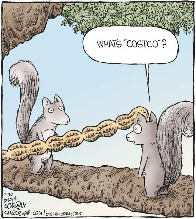 Speed Bump for Jul 20, 2024