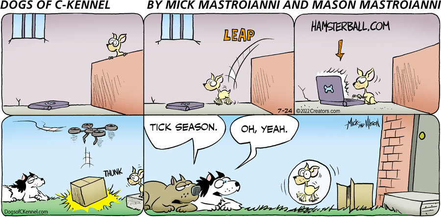 Dogs of C-Kennel for Jul 24, 2022