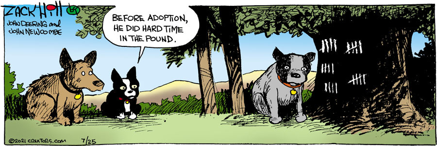 Zack Hill for Jul 25, 2021