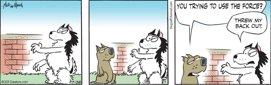 Dogs of C-Kennel for Jul 26, 2021