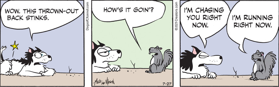 Dogs of C-Kennel for Jul 27, 2021