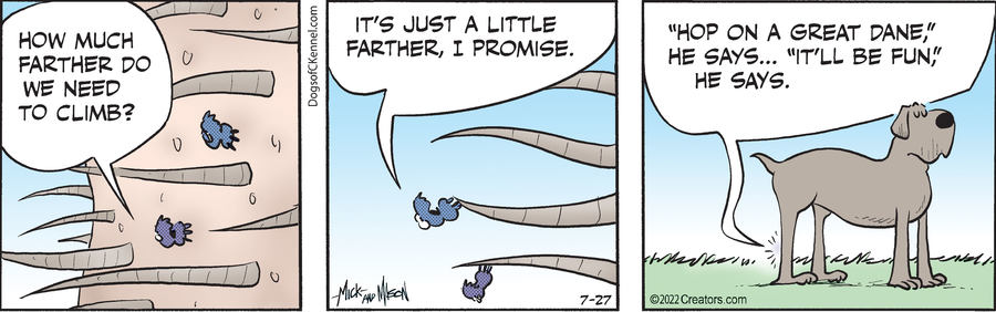 Dogs of C-Kennel for Jul 27, 2022