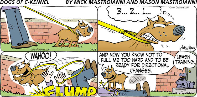 Dogs of C-Kennel for Jul 28, 2024