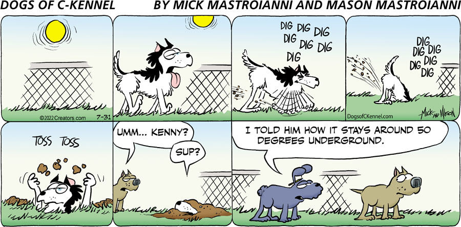 Dogs of C-Kennel for Jul 31, 2022