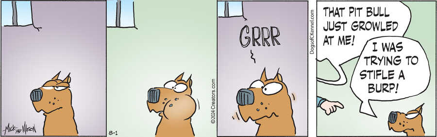 Dogs of C-Kennel for Aug 01, 2024