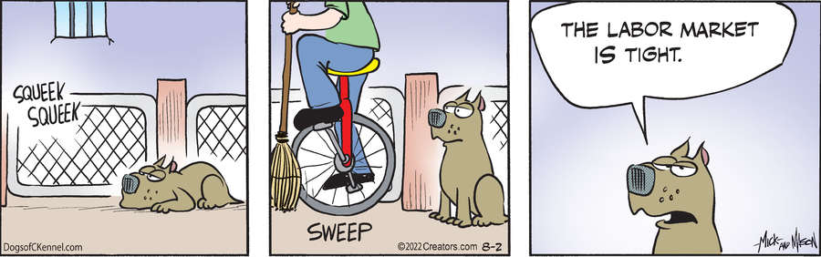 Dogs of C-Kennel for Aug 02, 2022