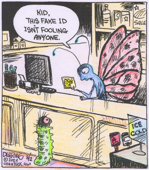 Strange Brew for Aug 02, 2024