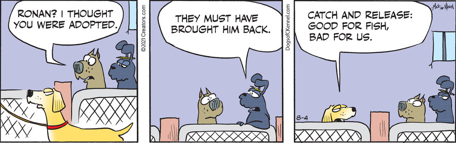 Dogs of C-Kennel for Aug 04, 2021