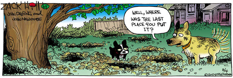 Zack Hill for Aug 04, 2024