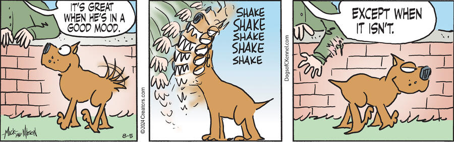 Dogs of C-Kennel for Aug 05, 2024