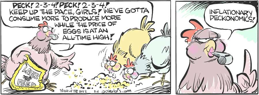 Shrimp and Grits for Aug 06, 2024