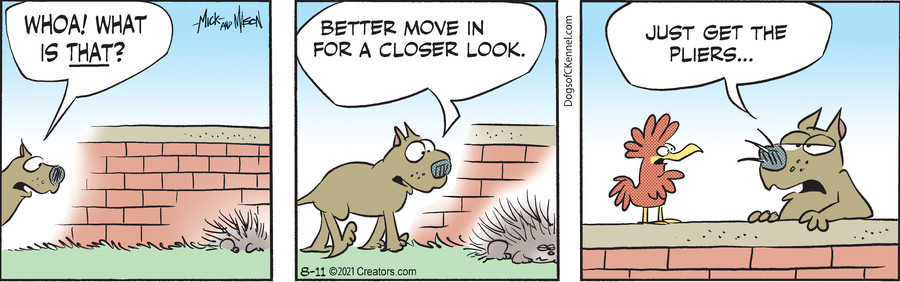 Dogs of C-Kennel for Aug 11, 2021