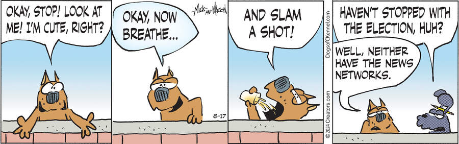 Dogs of C-Kennel for Aug 17, 2024