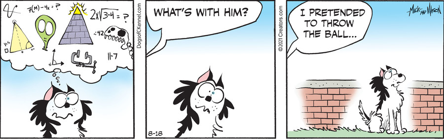Dogs of C-Kennel for Aug 18, 2021