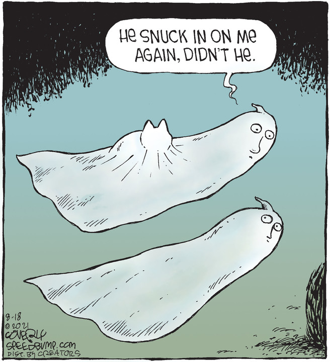 Speed Bump for Aug 18, 2021