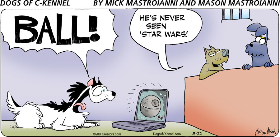 Dogs of C-Kennel for Aug 22, 2021