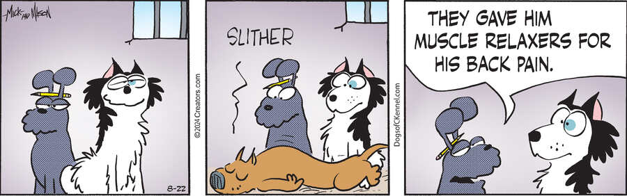 Dogs of C-Kennel for Aug 22, 2024