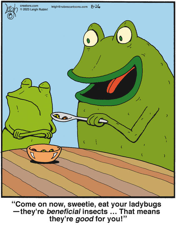 Rubes® for Aug 26, 2023